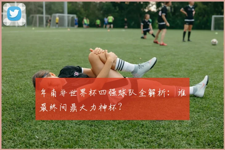 年南非世界杯四强球队全解析:谁最终问鼎大力神杯?