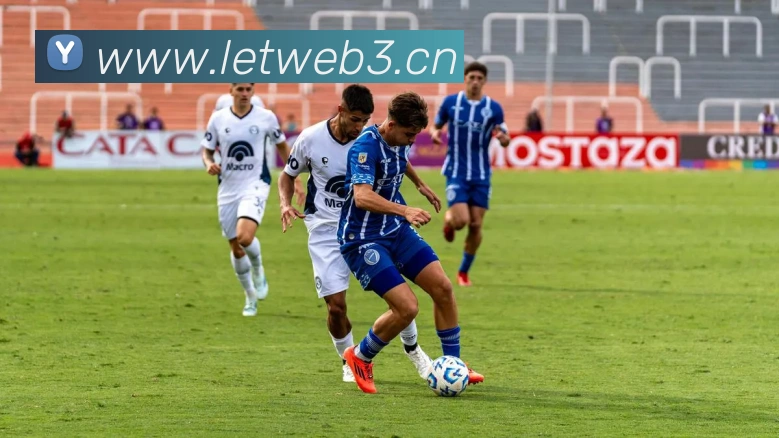 多媒体互动体验